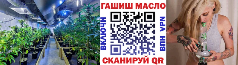 ТГК THC oil  Владикавказ 