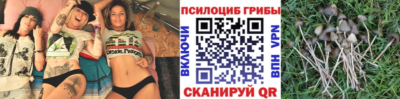 Галлюциногенные грибы MAGIC MUSHROOMS  Владикавказ 
